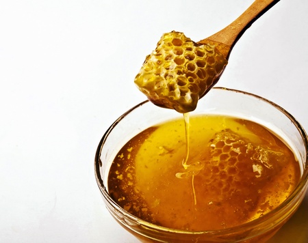 Honeyの写真素材