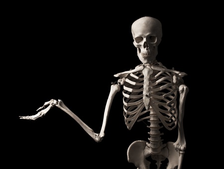 Skeletonの写真素材