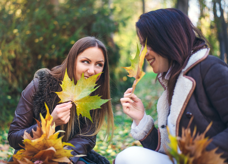 Two cute young women gossiping outdoors in a park as they collect handfuls of autumn leaves grinning and sharing intimate secretsの写真素材