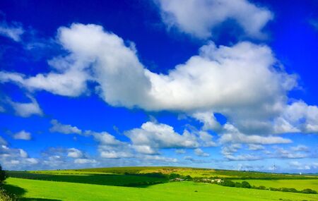 A Natural green field sceneryの素材