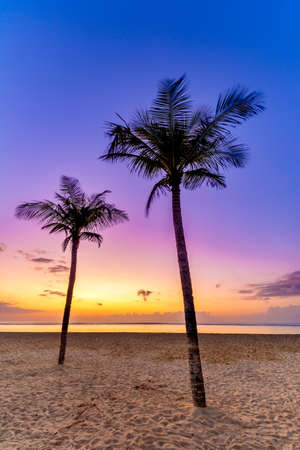 Palm trees at sunrise on the tropical Island paradise of Bali.の写真素材