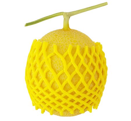 melon yellow isolate on the write backgroundの写真素材