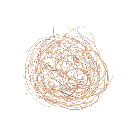 Western rolling stem of dead plant. Tumbleweed isolated on white backgroundのイラスト素材