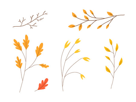 Autumn leaves collection. Autumn season botanical graphic elementsのイラスト素材