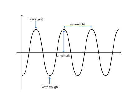 Vector of parts of a wave crest trough amplitude and wavelengthのイラスト素材
