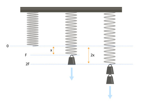 Hookes law, Physics, spring force, Weight equation and mathematical experimentのイラスト素材