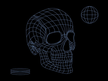 Wireframe skull Low Poly Mesh. futuristic conceptのイラスト素材