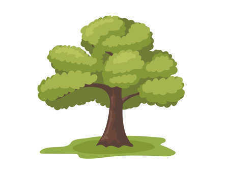 Green tree for landscape forest drawing elementsのイラスト素材