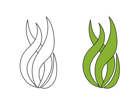 Spirulina plant icon outline styleのイラスト素材