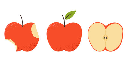 Red apple with leaf, Bitten fresh apple and half cutのイラスト素材