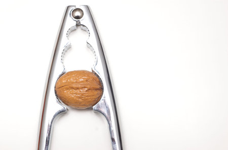 Walnut cracker detail