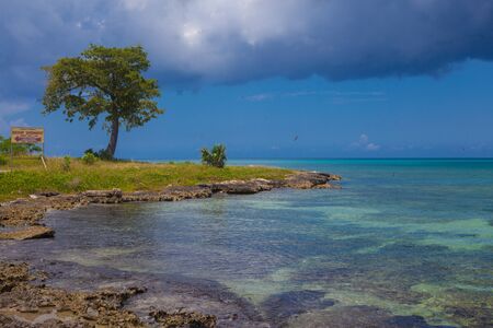 Beachの写真素材