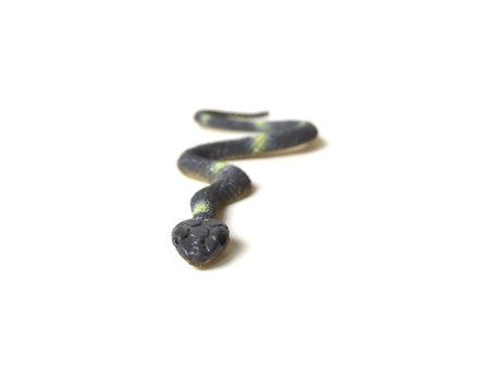Close up of gray snake toy isolated on white background.