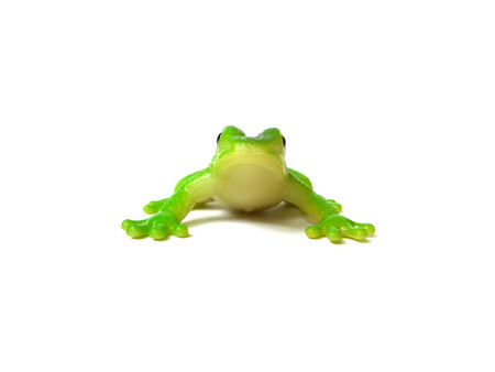 Close up of green rubber frog toy isolated on white background.の写真素材