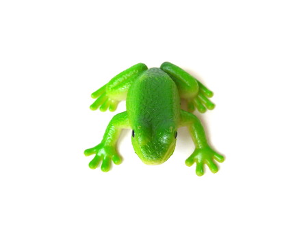Close up of green rubber frog toy isolated on white background.の写真素材