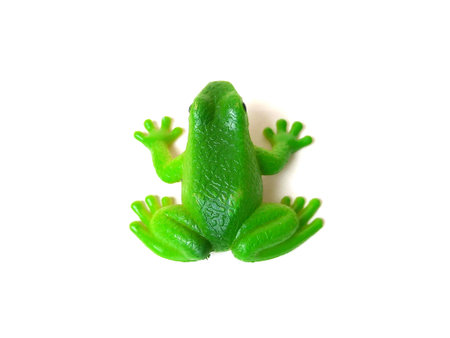 Close up of green rubber frog toy isolated on white background.