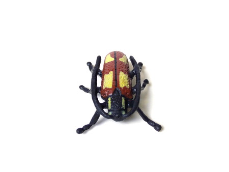 Close up of rubber beetle toy isolated on white background.の写真素材