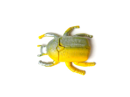 Close up of beetle insect toy isolated on white background.の写真素材