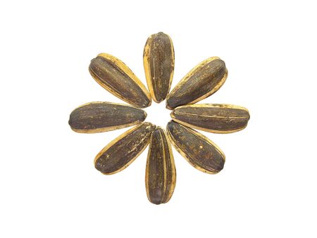 Close up of sunflower seeds isolated on white background.の写真素材