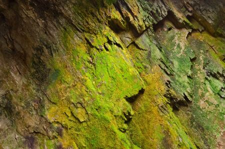 Old cave with green moss wallsの写真素材