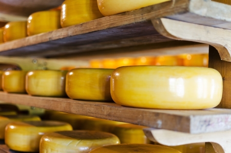 Cheese storageの写真素材