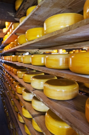 Cheese storageの写真素材