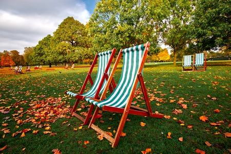 Autumn in the Park with park bench and treeの写真素材