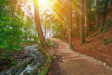 Deep Forest Road Trail in Plitvice National Park Croatia with Sun Rays.の写真素材
