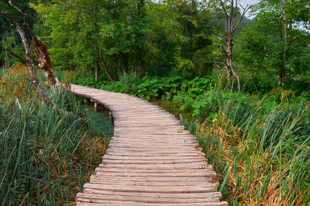 Wooden Road Trail in Plitvice National Park Croatia with Water Streamの写真素材