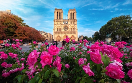PARIS, FRANCE - AUGUST 24 2017 : Tourists in Paris City Center Visiting Notre-Dame Gothic Cathedralのeditorial素材