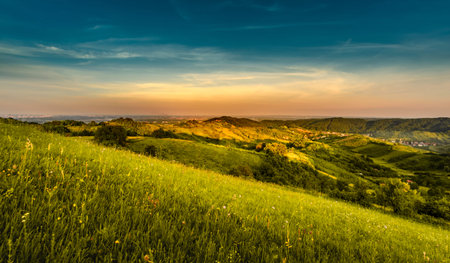 Summer landscape on the top of the hill