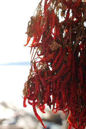 Dried Chiliの写真素材