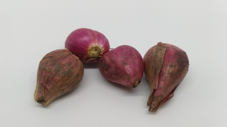 4 dried shallots with dry skinの写真素材