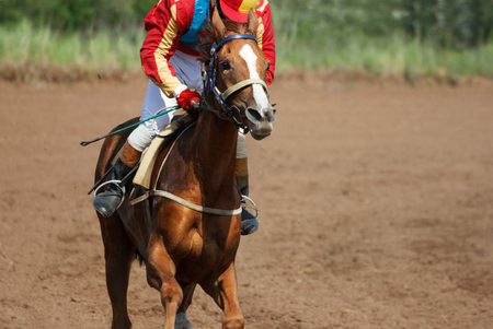 Race horse in run. Running horse with a jockey.の写真素材