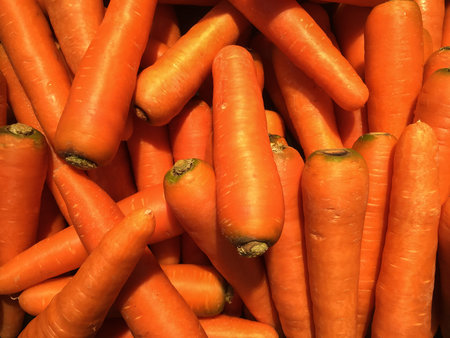 Fresh Organic Carrots on Food Background