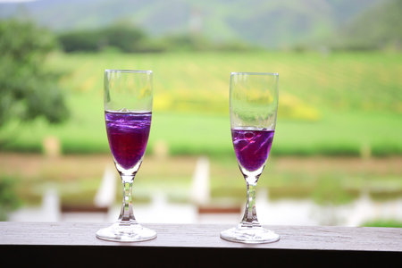 Two of wine glasses with grape vineyard in background.の写真素材