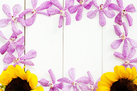 Orchid flowers and sunflowers on white wood background in frame.の写真素材