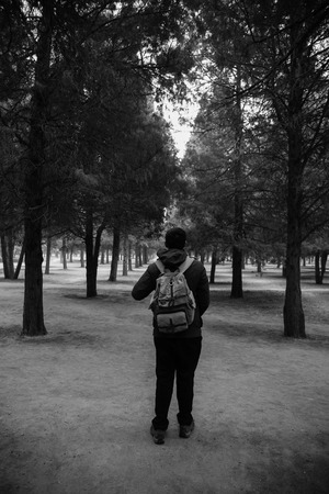 Young traveler trekking into the woods with backpack along the path (Black and White tone)の写真素材
