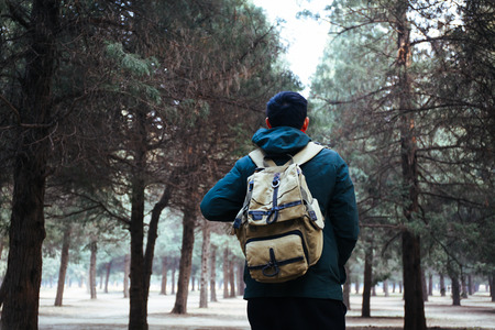Young traveler trekking into the woods with backpack along the pathの写真素材