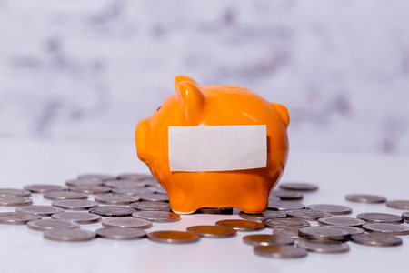 Money piggy bank with empty copy space label ready to insert any text or word and coinsの写真素材