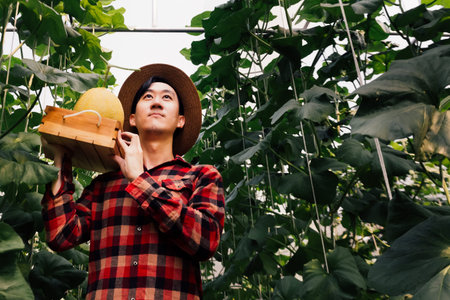 Intense and serious determined young Asian male farmer carrying a basket of watermelon products and walking on farm fieldの写真素材