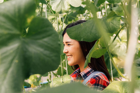 One young beautiful Asian female farmer having happy smile and wearing red checkered shirt while working inside farm agriculture gardenの写真素材