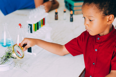 African American elementary school boy using magnifier to test green plant for scientific proof in science classroom - biology and ecology concept.の写真素材