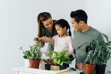 Chinese mother and father with young daughter holding gardening tools and looking after plantsの写真素材