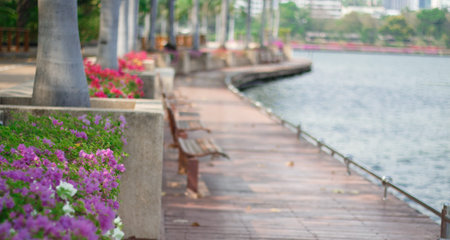 Lake and walkway woodenの写真素材