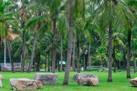 Beautiful public park with green grass field and stone.の写真素材
