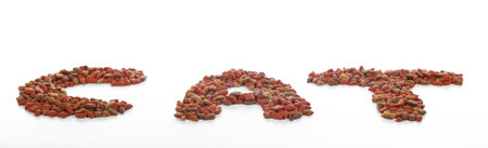 dry cat food isolated on a white backgroundの写真素材