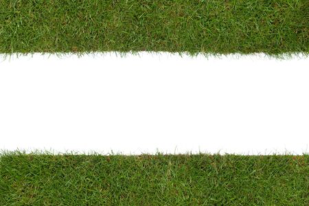 border of real grass isolated on a white backgroundの写真素材