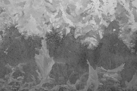 tranparent ice flowers on glassの写真素材