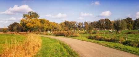 Dutch landscape with road and meadow. brabant netherlandsの写真素材